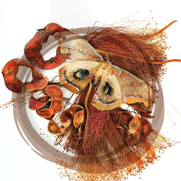 Meet your Posher, Louise - Picture 1 of 1